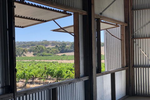 Armagh Vineyard Exclusive Wine Experience And Lunch - Accommodation QLD 5