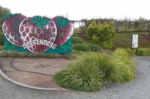 Adelaide Hills Regional / Hahndorf German Village Tour - Accommodation QLD 6