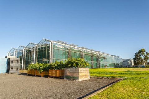 Yalumba Nursery & Grenache Discovery Tour + Platter Lunch - Accommodation QLD 5