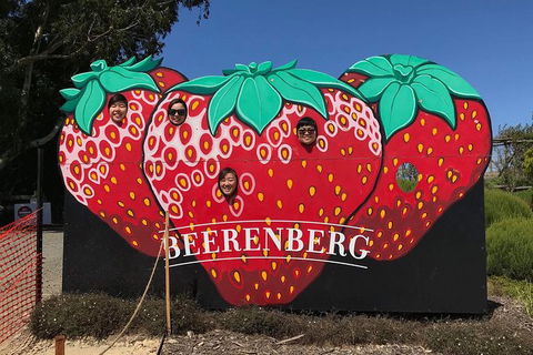 Adelaide Driving Tour - Accommodation QLD 1