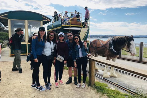 Adelaide Driving Tour - Accommodation QLD 3