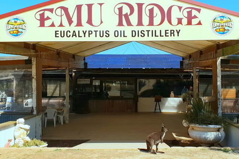 Full-Day Kangaroo Island Safari From Penneshaw - Accommodation QLD 3