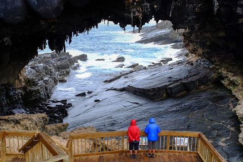 Full-Day Kangaroo Island Safari From Penneshaw - Accommodation QLD 1