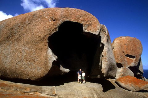 Full-Day Kangaroo Island Safari From Penneshaw - Accommodation QLD 0