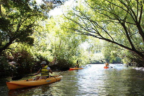 Paddle With The Platypus Twilight Kayak Adventure - Accommodation QLD 0