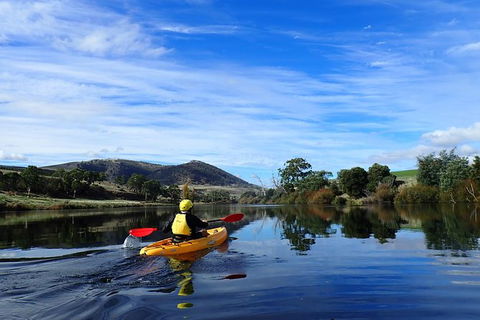 Paddle With The Platypus Twilight Kayak Adventure - Accommodation QLD 5