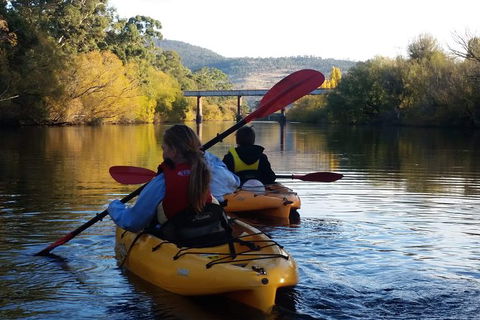 Paddle With The Platypus Twilight Kayak Adventure - Accommodation QLD 1