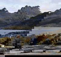 Cruise Ship Special from Burnie to Cradle Mountain - Accommodation QLD
