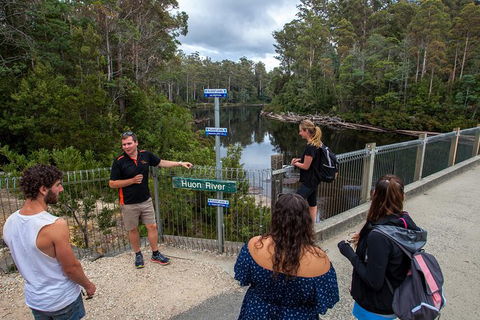 Tahune Airwalk Active Day Trip From Hobart Including Hastings Caves - Accommodation QLD 3