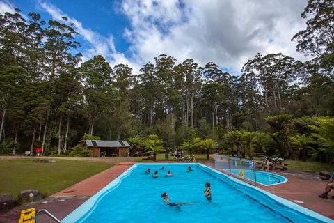 Tahune Airwalk Active Day Trip From Hobart Including Hastings Caves - Accommodation QLD 2