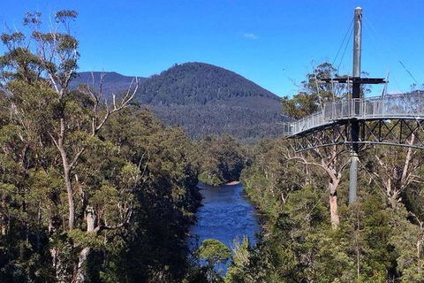 Tahune Airwalk Active Day Trip From Hobart Including Hastings Caves - Accommodation QLD 6