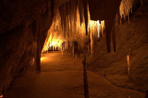 Tahune Airwalk Active Day Trip From Hobart Including Hastings Caves - Accommodation QLD 8