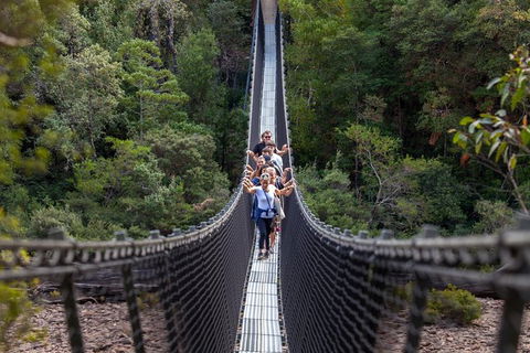 Tahune Airwalk Active Day Trip From Hobart Including Hastings Caves - Accommodation QLD 0