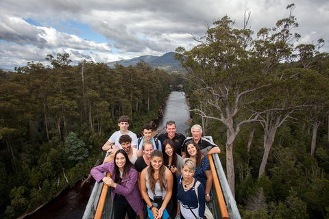 Tahune Airwalk Active Day Trip From Hobart Including Hastings Caves - Accommodation QLD 1
