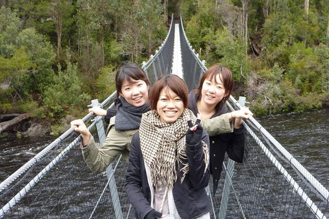 Tahune Airwalk Active Day Trip From Hobart Including Hastings Caves - Accommodation QLD 7