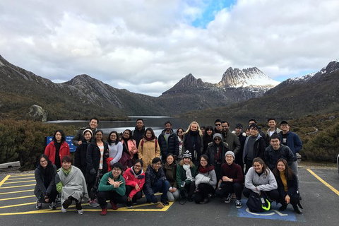Shore Excursion - Cradle Mountain Day Tour From Burnie - Accommodation QLD 4