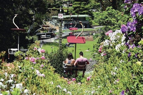 Launceston Private Charter Service - Accommodation QLD 3