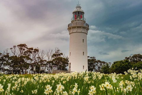 Table Cape Lighthouse Tours - Accommodation QLD 7