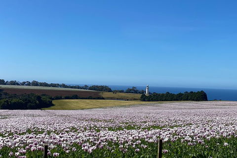 Table Cape Lighthouse Tours - Accommodation QLD 8