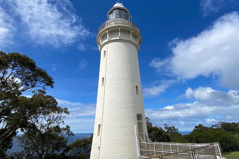 Table Cape Lighthouse Tours - Accommodation QLD 4