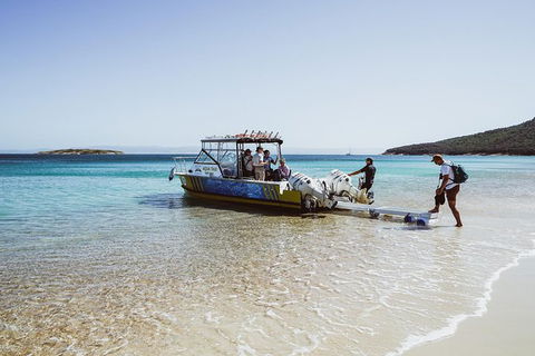 Sea & Explore Wineglass Bay & Freycinet National Park - Cruise & Walk - Accommodation QLD 3