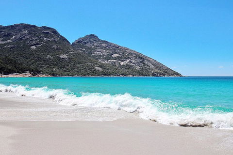 Sea & Explore Wineglass Bay & Freycinet National Park - Cruise & Walk - Accommodation QLD 4