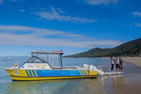 Sea & Explore Wineglass Bay & Freycinet National Park - Cruise & Walk - Accommodation QLD 7