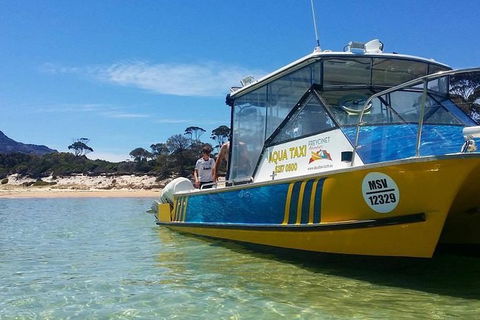 Sea & Explore Wineglass Bay & Freycinet National Park - Cruise & Walk - Accommodation QLD 1