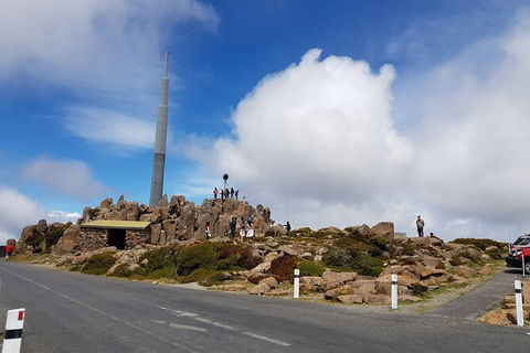 Mt. Wellington Morning Hike + Afternoon Beer & History Walk - Accommodation QLD 21