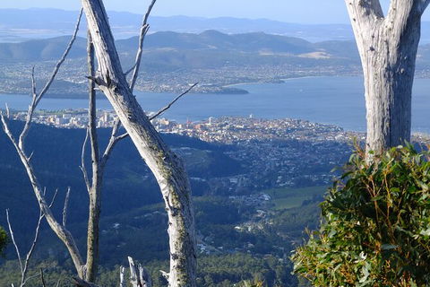Mt. Wellington Morning Hike + Afternoon Beer & History Walk - Accommodation QLD 10