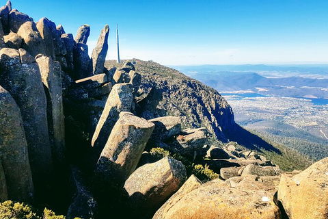 Mt. Wellington Morning Hike + Afternoon Beer & History Walk - Accommodation QLD 11