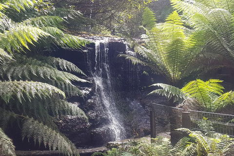Mt. Wellington Morning Hike + Afternoon Beer & History Walk - Accommodation QLD 16
