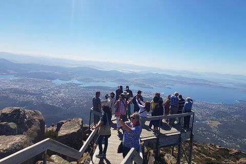 Mt. Wellington Morning Hike + Afternoon Beer & History Walk - Accommodation QLD 2