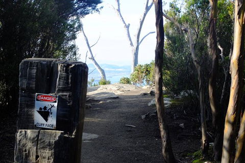 Mt. Wellington Morning Hike + Afternoon Beer & History Walk - Accommodation QLD 14