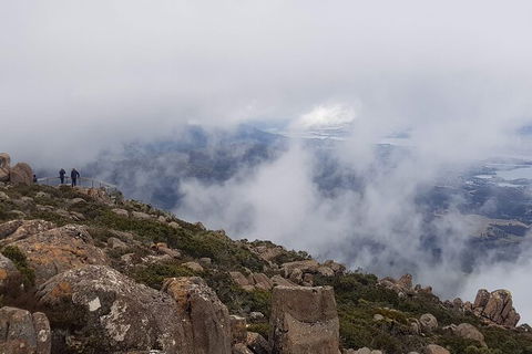 Mt. Wellington Morning Hike + Afternoon Beer & History Walk - Accommodation QLD 18