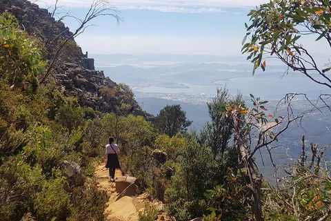 Mt. Wellington Morning Hike + Afternoon Beer & History Walk - Accommodation QLD 1