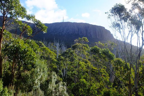 Mt. Wellington Morning Hike + Afternoon Beer & History Walk - Accommodation QLD 4