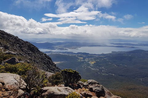 Mt. Wellington Morning Hike + Afternoon Beer & History Walk - Accommodation QLD 5