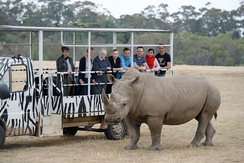 Off-Road Safari At Werribee Open Range Zoo - Accommodation QLD 0