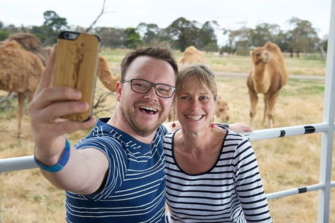 Off-Road Safari At Werribee Open Range Zoo - Accommodation QLD 5
