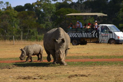 Off-Road Safari At Werribee Open Range Zoo - Accommodation QLD 1