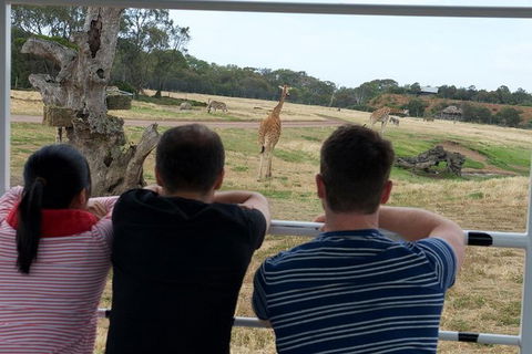 Off-Road Safari At Werribee Open Range Zoo - Accommodation QLD 4