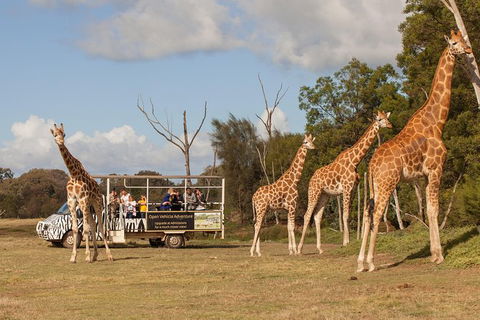 Off-Road Safari At Werribee Open Range Zoo - Accommodation QLD 3
