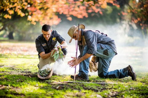 Aboriginal Heritage Walk - Royal Botanic Gardens Victoria, Melbourne Gardens - Accommodation QLD 0