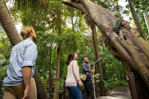 Aboriginal Heritage Walk - Royal Botanic Gardens Victoria, Melbourne Gardens - Accommodation QLD 1