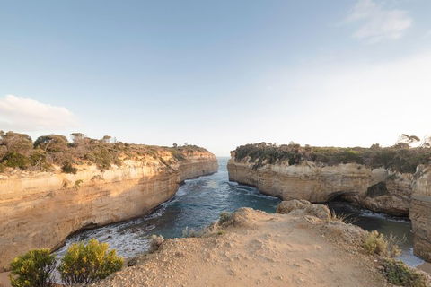 PRIVATE Great Ocean Road Tour And 12 Apostles With Wildlife Spotting - Accommodation QLD 1