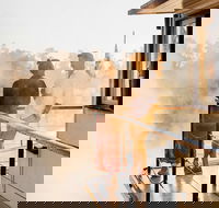 2 Night Upper Murray Escape Cruise - PS Emmylou - Accommodation QLD