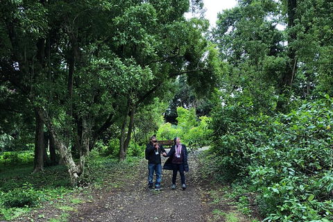 Alices Journeys Guided Walking Tours Of Daylesford - Accommodation QLD 5