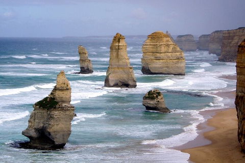 LGBT+ Friendly 2 Day Private Tour Great Ocean Road + Phillip Island - Accommodation QLD 0