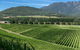 Feathertop Winery: Behind The Wines And Vines - thumb 2
